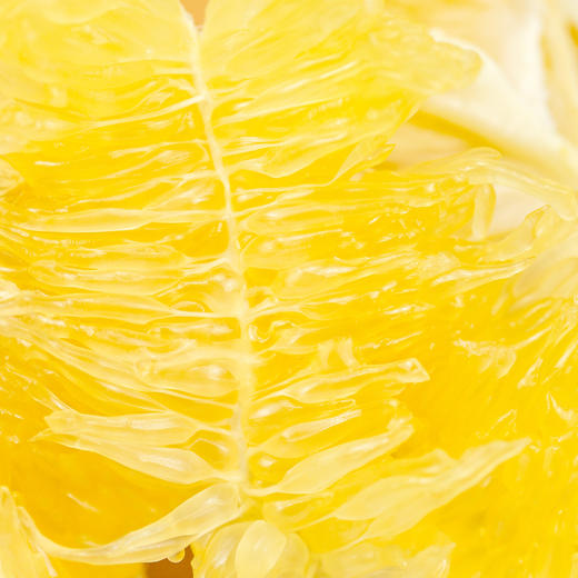 （感恩季直播）秒杀 爆汁葡萄柚彩箱净重4.5-5斤送榨汁杯 商品图5