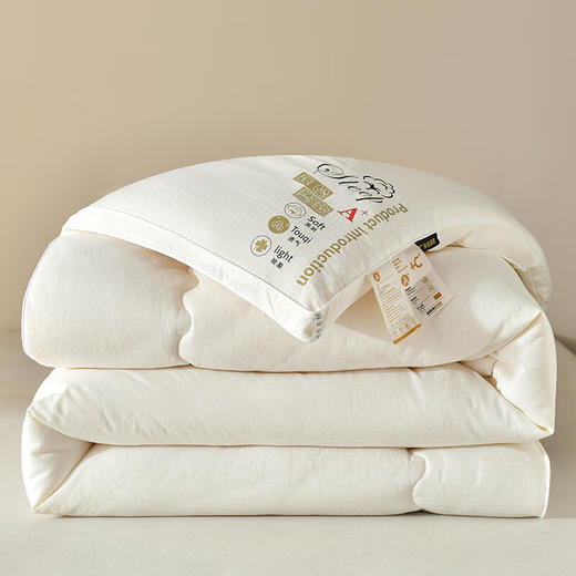 【多样屋专柜】悠梦嘉居华夫格大豆蛋白被秋冬被保暖180*220cm 商品图3