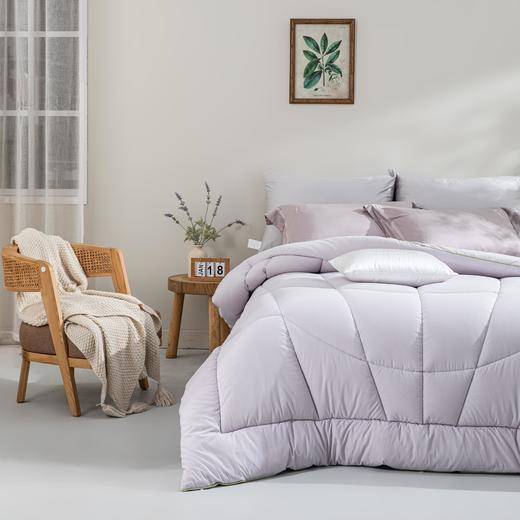 【远梦】大豆芦荟柔暖冬被 商品图1