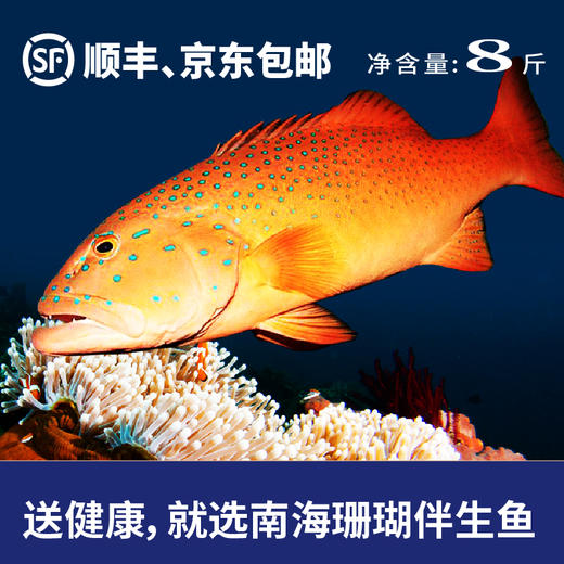 南海至尊礼盒(净重8斤） 商品图1