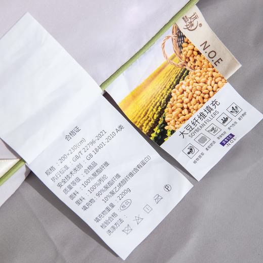 【远梦】大豆芦荟柔暖冬被 商品图2