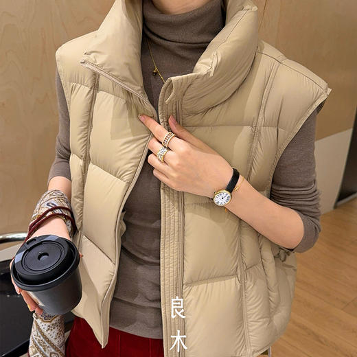 【特价不退换】【预售7天】良木礼鹅绒马甲（D258350） 商品图2