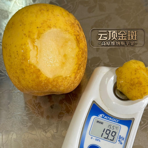 【高原维纳斯苹果】“吃”天然酵素长大的黄金苹果/香甜嫰脆果味浓郁/现摘现发顺丰包邮您收到货后请务必第一时间用保鲜袋装好放冰箱冷藏 商品图2