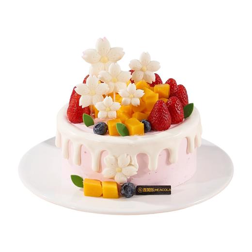 茁壮成长【动物奶油生日蛋糕W】 商品图0