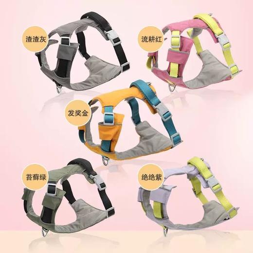 波波撞色休闲软胸背 商品图0