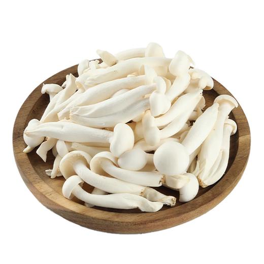 白玉菇 商品图0