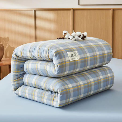 【多样屋专柜】悠梦嘉居梵品水洗棉冬被150*200CM2500克 商品图3
