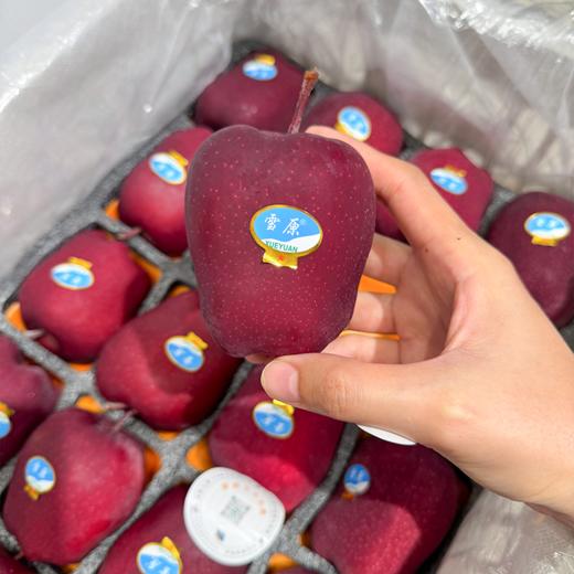 雪原花牛苹果 商品图3