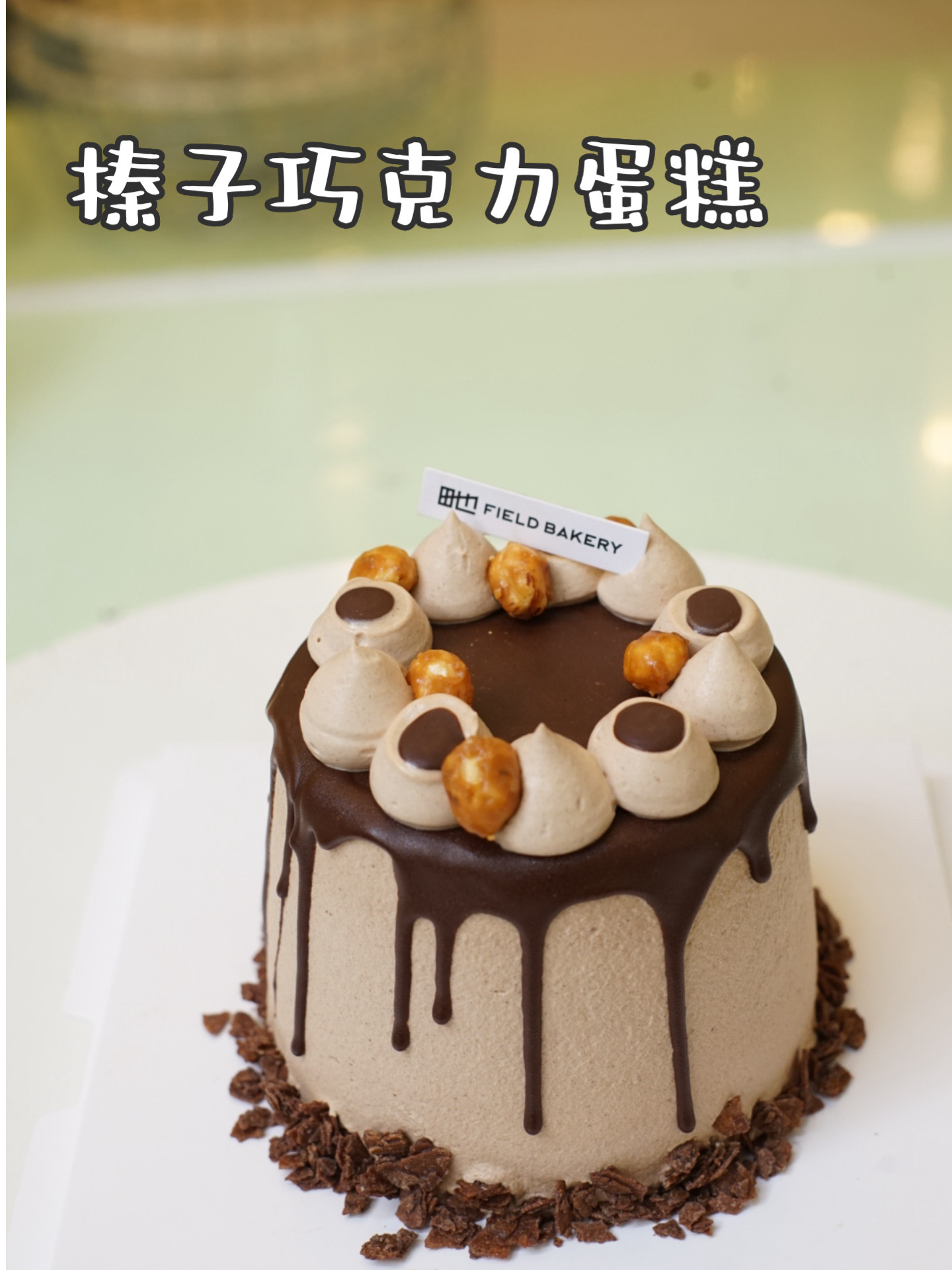 雪山巧克力榛子蛋糕 4寸