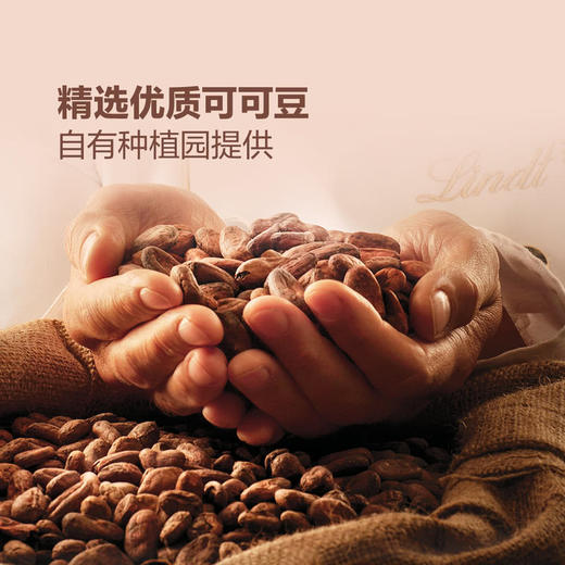 【自提】M瑞士莲 软心甄选巧克力分享装(巧克力制品)780g 商品图3