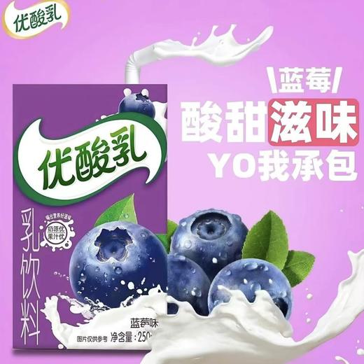 伊利优酸乳蓝莓味牛奶饮料250ml 商品图2
