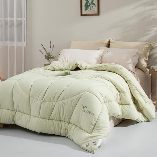 【远梦】大豆芦荟柔暖冬被 商品图0