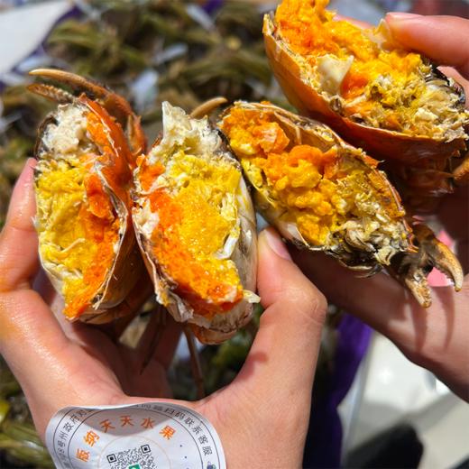 爆黄江苏红膏大闸蟹 有身份证的大品牌螃蟹  鲜活 收到后2小时内有问题可售后 过时不候 商品图13