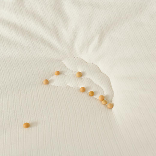 【多样屋专柜】悠梦嘉居华夫格大豆蛋白被秋冬被保暖180*220cm 商品图5