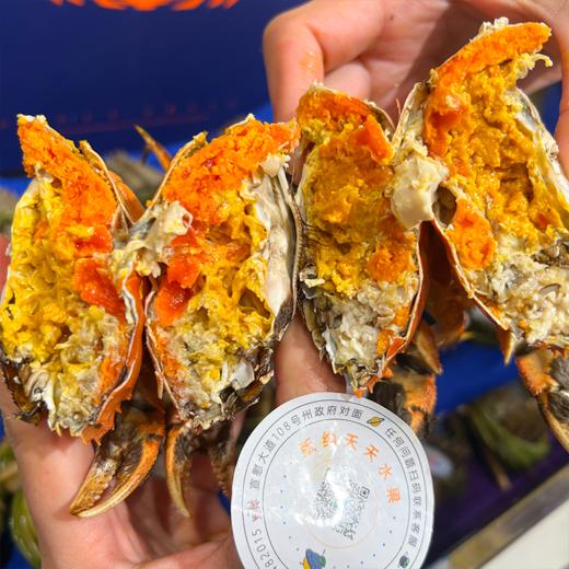 爆黄江苏红膏大闸蟹 有身份证的大品牌螃蟹  鲜活 收到后2小时内有问题可售后 过时不候 商品图8