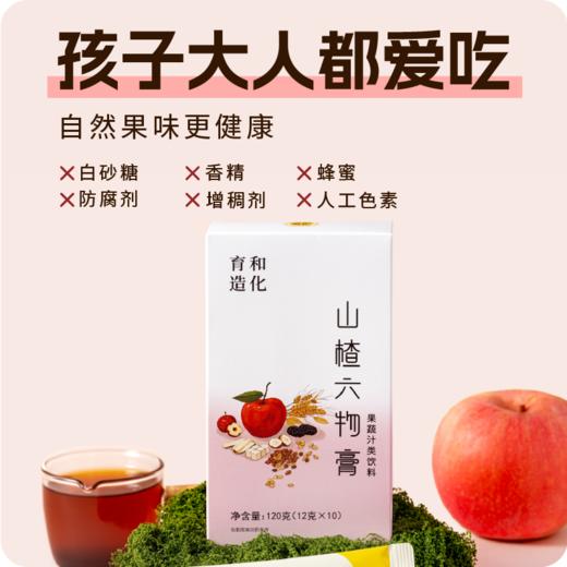 正安优选·山楂六物膏(12g*10袋） 商品图2