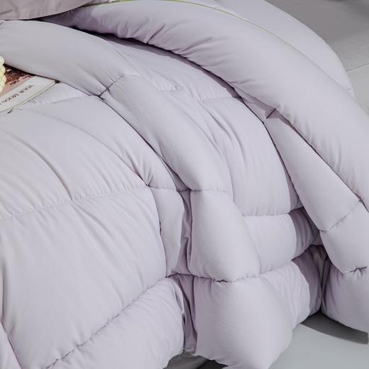 【远梦】大豆芦荟柔暖冬被 商品图3