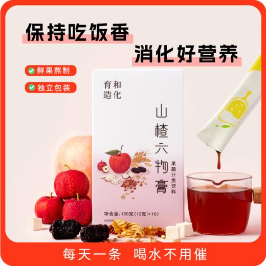 正安优选·山楂六物膏(12g*10袋） 商品图0