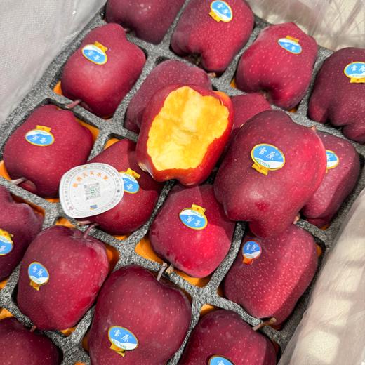 雪原花牛苹果 商品图0