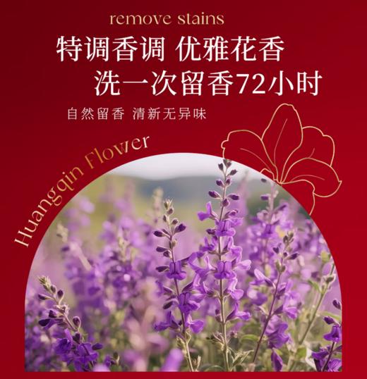 spp BESITING  阿尔卑斯高山黄芩 香氛洗衣液 商品图3