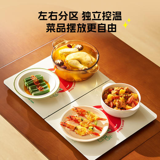 大宇 折叠暖菜板WB09PRO  饭菜保温板 家用加热菜板 加热保温皆可 72小时发货 商品图0