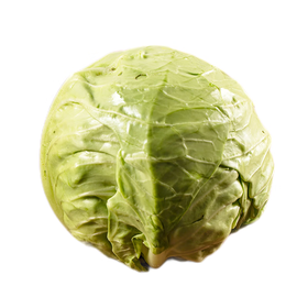 包菜