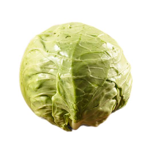 包菜 商品图0