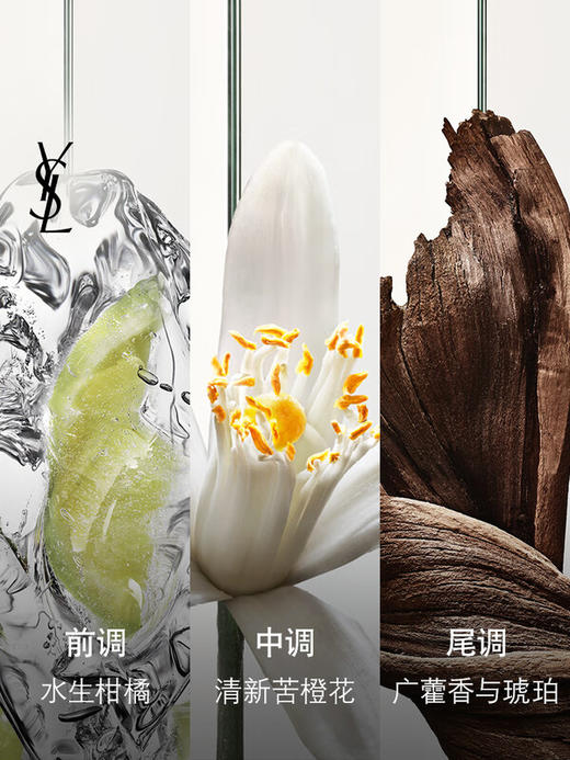 YSL圣罗兰 不羁男士香水 木质橙花香 商品图1