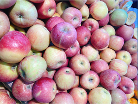 宁夏冰糖心苹果三斤