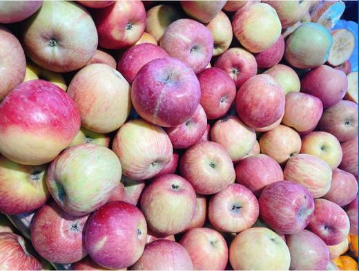 宁夏冰糖心苹果三斤 商品图0