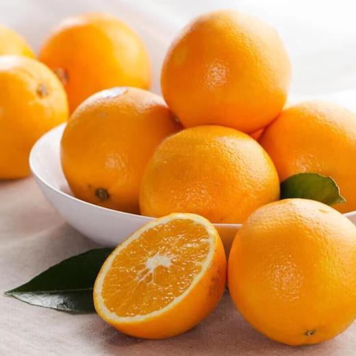 新奇士橙 橙子4粒约800g/盒 商品图2