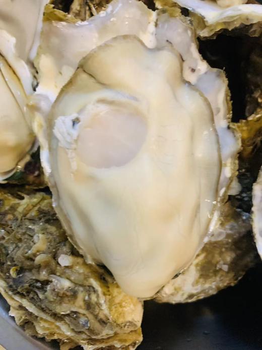 乳山生蚝 商品图7