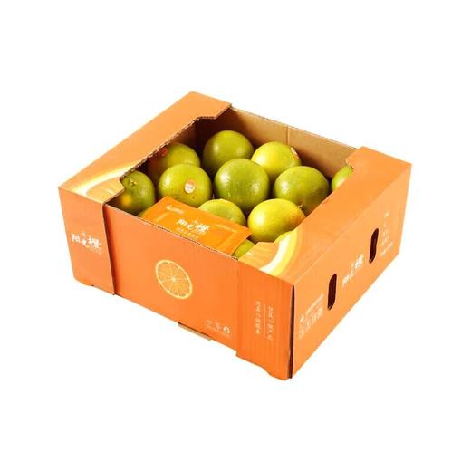 放心阳光橙约500g/份 商品图1
