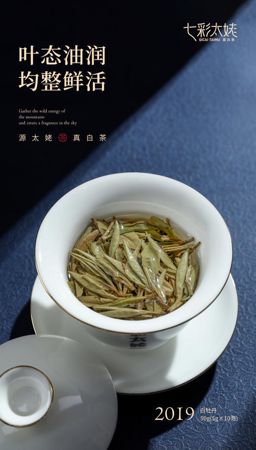 七彩太姥 源太姥真白茶 （2019年白牡丹）50g/盒 商品图7