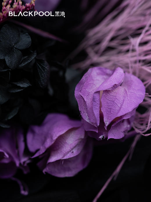 星座永生花·紫霞（积分兑换专用） 商品图4