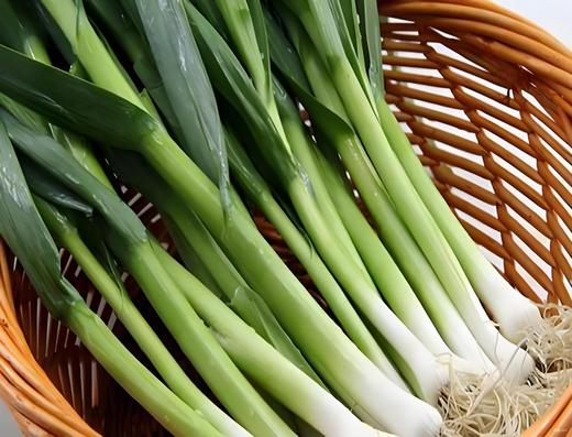 有机大蒜叶 商品图2