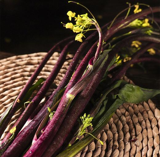 有机红菜苔500g 商品图2