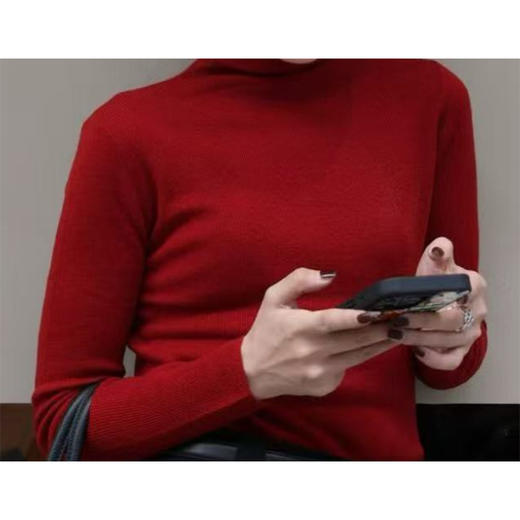 【预售7天】良木礼羊毛高领打底（2801） 商品图0