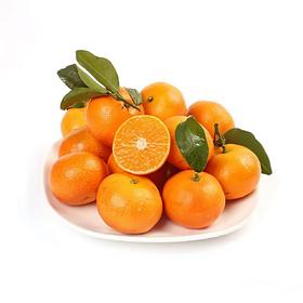 【生鲜预定】砂糖橘1kg