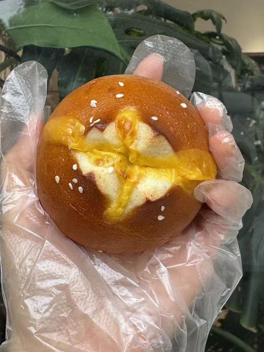 【新品】牛肉鸡枞菌碱水球（下午4点出货） 商品图0