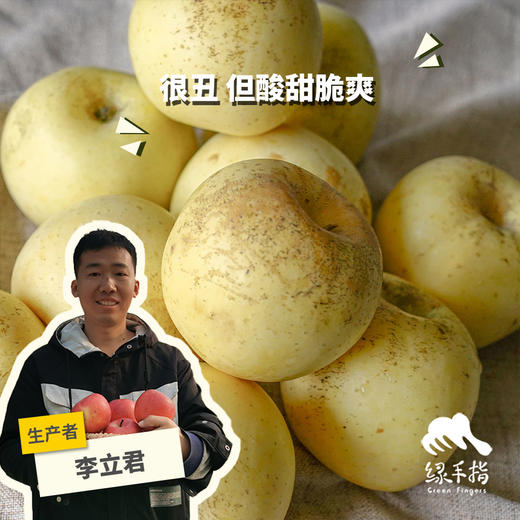 生态红富士苹果（烟台） | 合作生产*Ec0-Yantai red Fuji Apple|  Partner Production 商品图0