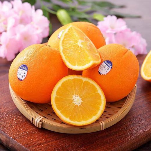 新奇士橙 橙子4粒约800g/盒 商品图4