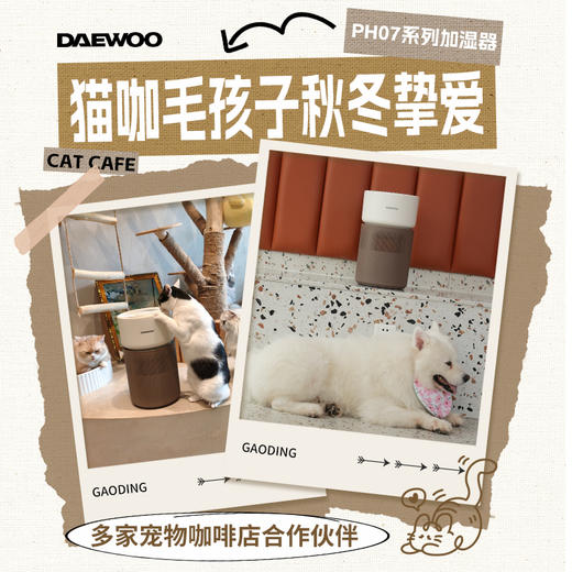 大宇 无雾加湿器 PH07 家用卧室房间室内空气加湿器 净润过冬 72小时发货 商品图4