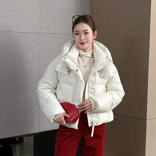 【特价不退换】【预售7天】良木礼短款连帽鹅绒服（D251101750） 商品图1