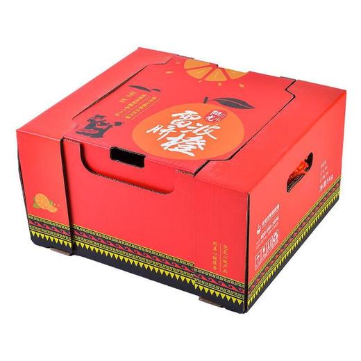 放心雷波脐橙约1kg/份 商品图2