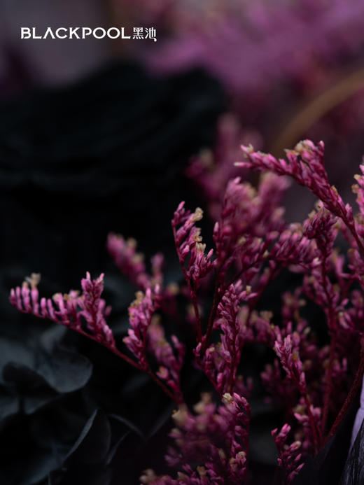 星座永生花·紫霞（积分兑换专用） 商品图3