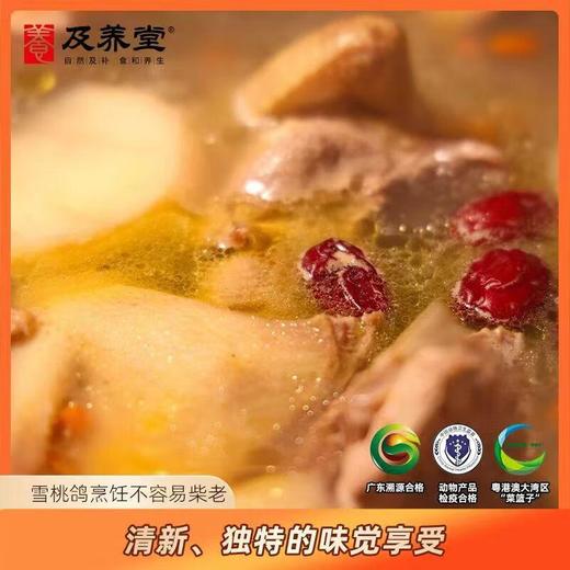 及养堂雪桃鸽 400g/只（冷冻） 商品图1