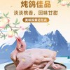 及养堂雪桃鸽 400g/只（冷冻） 商品缩略图0