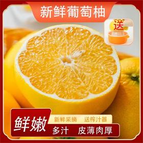 （感恩季直播）秒杀 爆汁葡萄柚彩箱净重4.5-5斤送榨汁杯