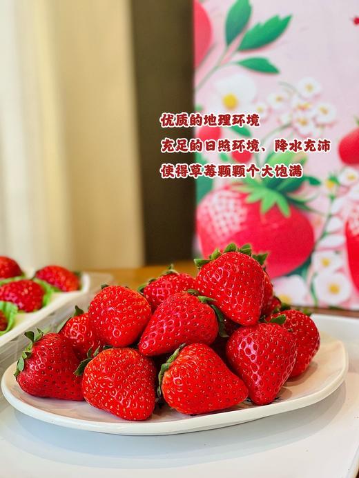 STRAWBERRY  丹东草莓 商品图3